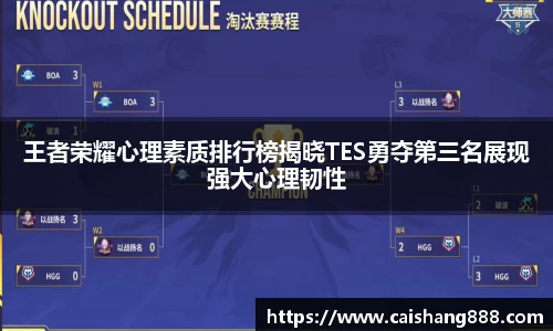 王者荣耀心理素质排行榜揭晓TES勇夺第三名展现强大心理韧性