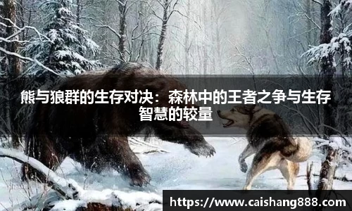 bv伟德国际