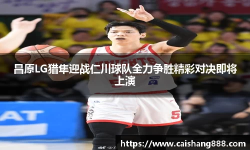 球速体育入口